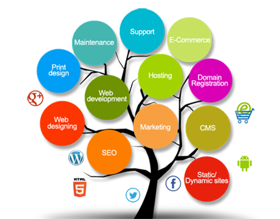 Wordpress website development company in delhi ncr